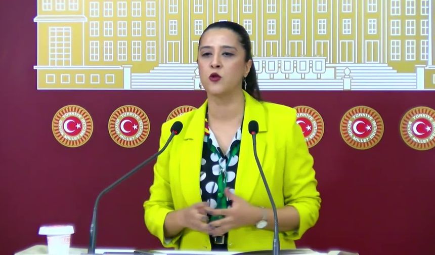 EMEP'li Karaca: 'Kürt sorununun çözümü, sürekli yüksek perdeden vaatler öne sürüp hiçbir adım atmadan gerçekleşemez'