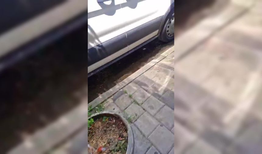 Mardin'de mahalleliden kanalizasyon taşkını tepkisi: 'Beş yıldan beri bu pis kokuyu koklamak zorunda kaldık'