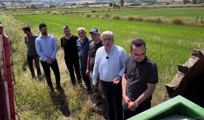 Çeltik üreticisinden fiyat ve maliyet isyanı: 'Gübrenin torbasına 500-600 lira zam geldi'