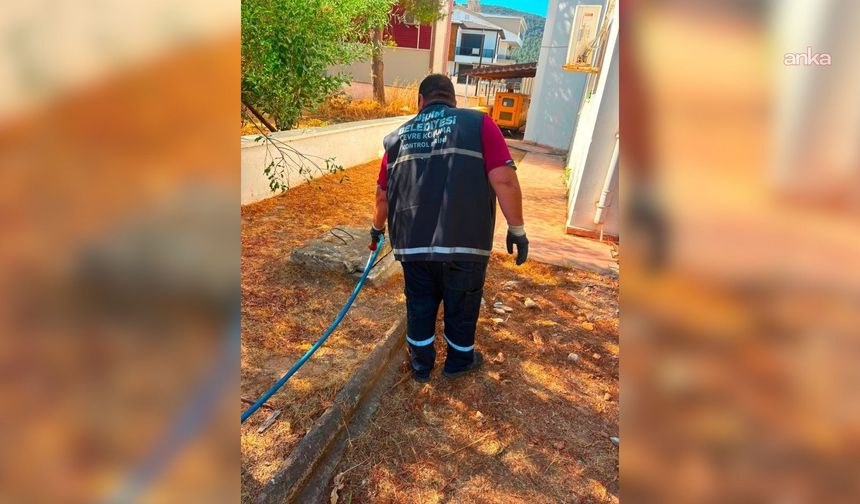Didim genelinde ilaçlama çalışmaları sürüyor