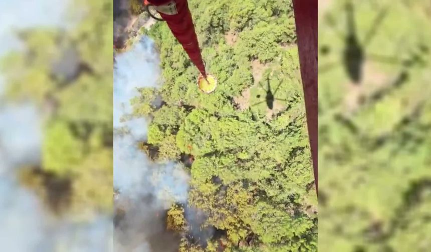 Fethiye'deki orman yangınına müdahale sürüyor