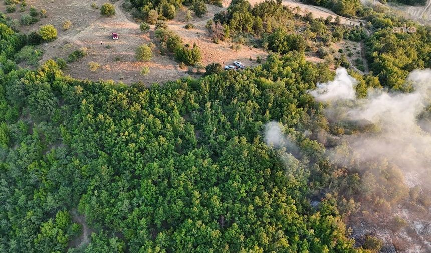 Tekirdağ Malkara'da ormanlık alana sıçrayan yangın 3 saatte kontrol altına alındı