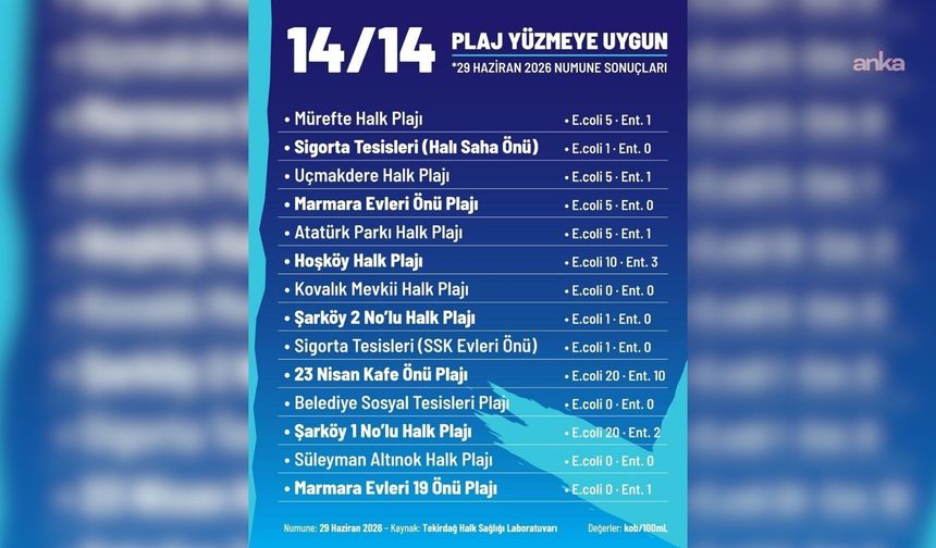 Tekirdağ Şarköy'deki 14 halk plajının 'yüzmeye uygun' olduğu tespit edildi