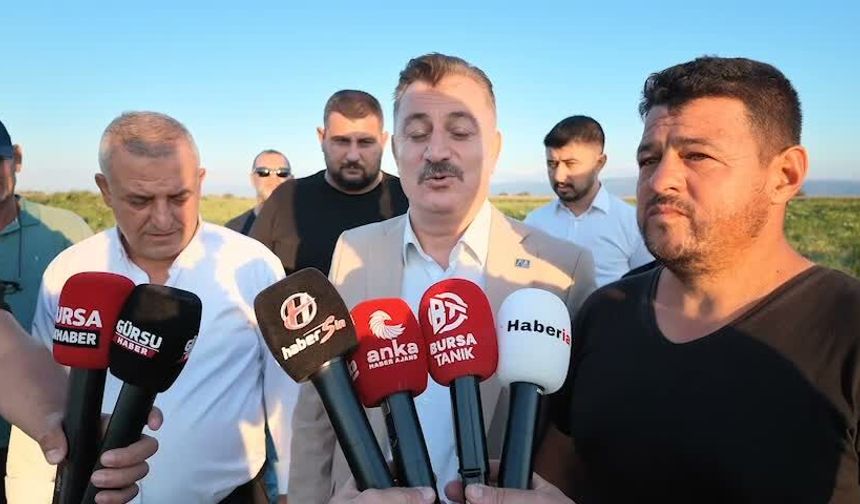 Bursa'da karpuz tarlada kaldı, üretici zarar etti