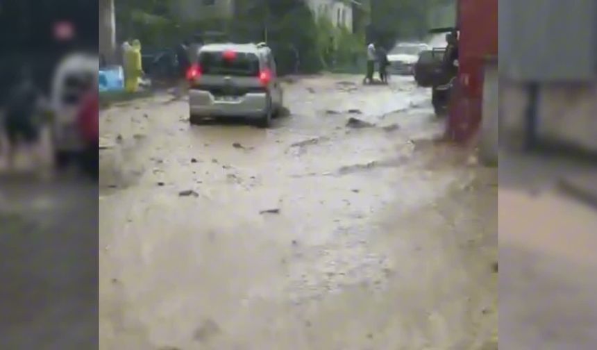 Zonguldak Alaplı'da sağanak yağış, sürücülere zor anlar yaşattı