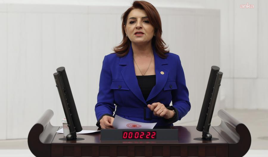 Gülcan Kış'tan Bakan Şimşek'e OVP sorusu: 'Enflasyon yüzde 21, büyüme yüzde 4,2 olacaksa vergi gelirlerini yüzde 36,5 nasıl artıracaksınız?'
