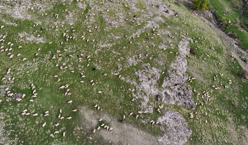 Tuncelili besici: 'Yağmurda, çamurda ezilen biziz ama kazanan tüccar oluyor'