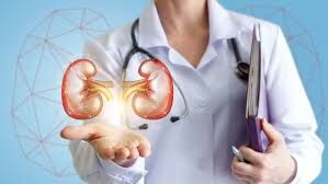 Dünya Böbrek Günü: Türkiye’de Her 6–7 Erişkinden Birinde Kronik Böbrek Hastalığı