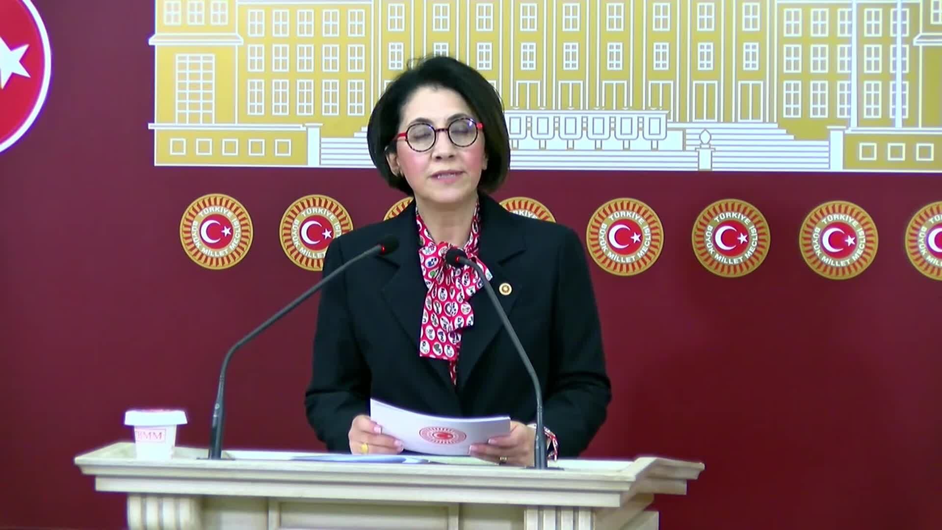 CHP'li Yaman: Kamunun bunca sorunu varken bu ticari yaklaşım anlaşılmazdır