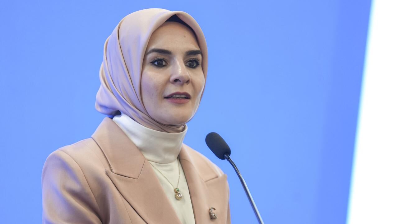 Bakan Göktaş, "Gönül Elçileri Koruyucu Aile Vizyon Çalıştayı" kapanış programında konuştu:
