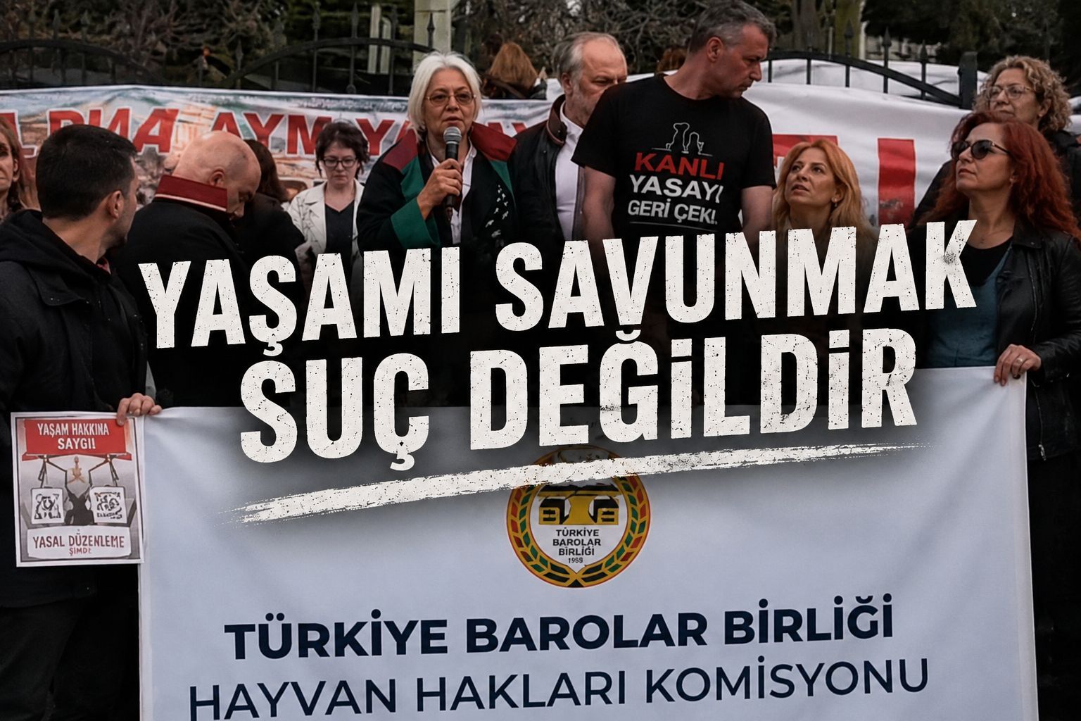 İstanbul Barosu’ndan Hayvan Hakları Komisyonu Sözcüsü Avukat Hülya Yalçın İçin Sert Tepki