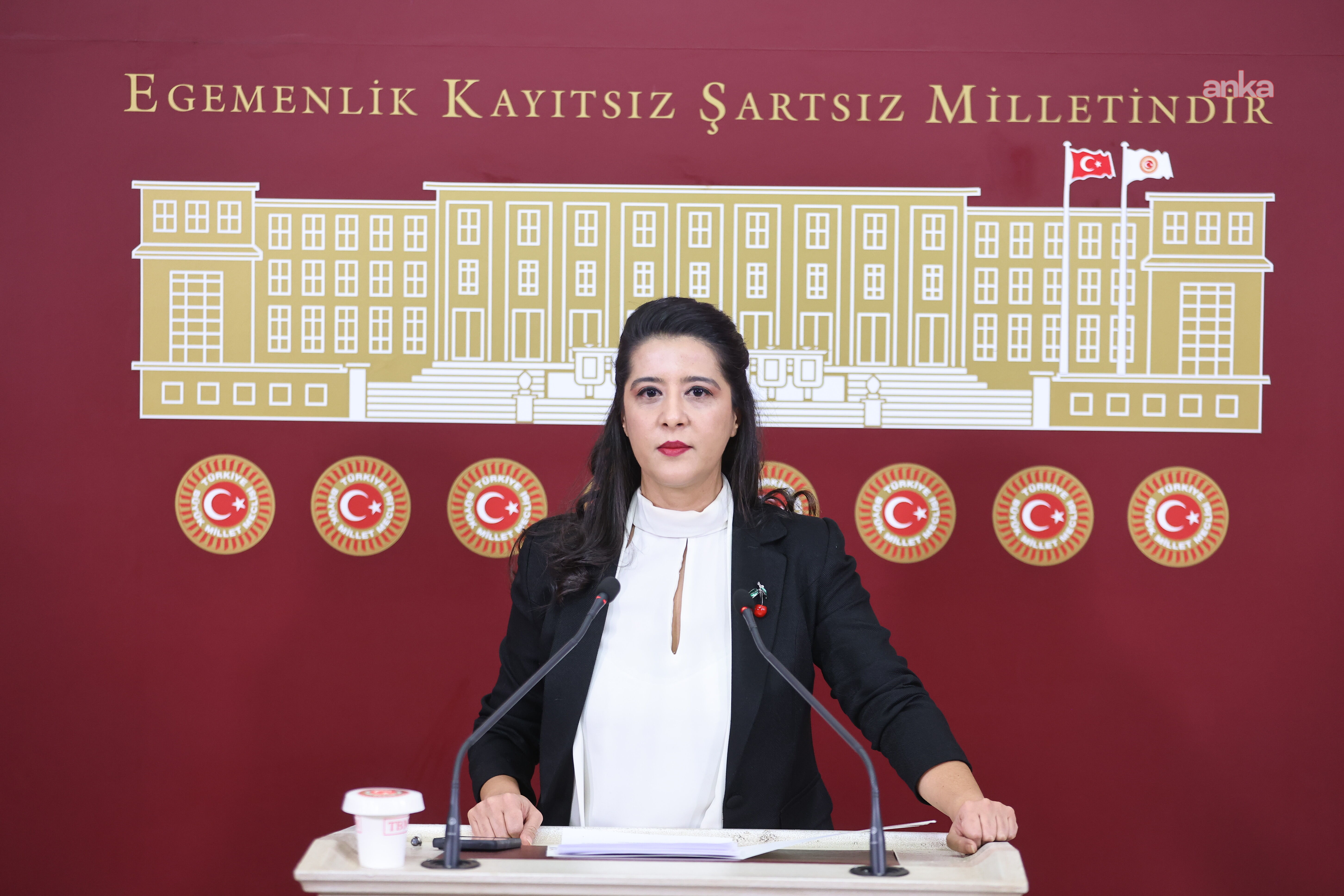 EMEP'li Karaca: 'Amasra'da aileler 4 yıldır adalet ve tazminat bekliyor'