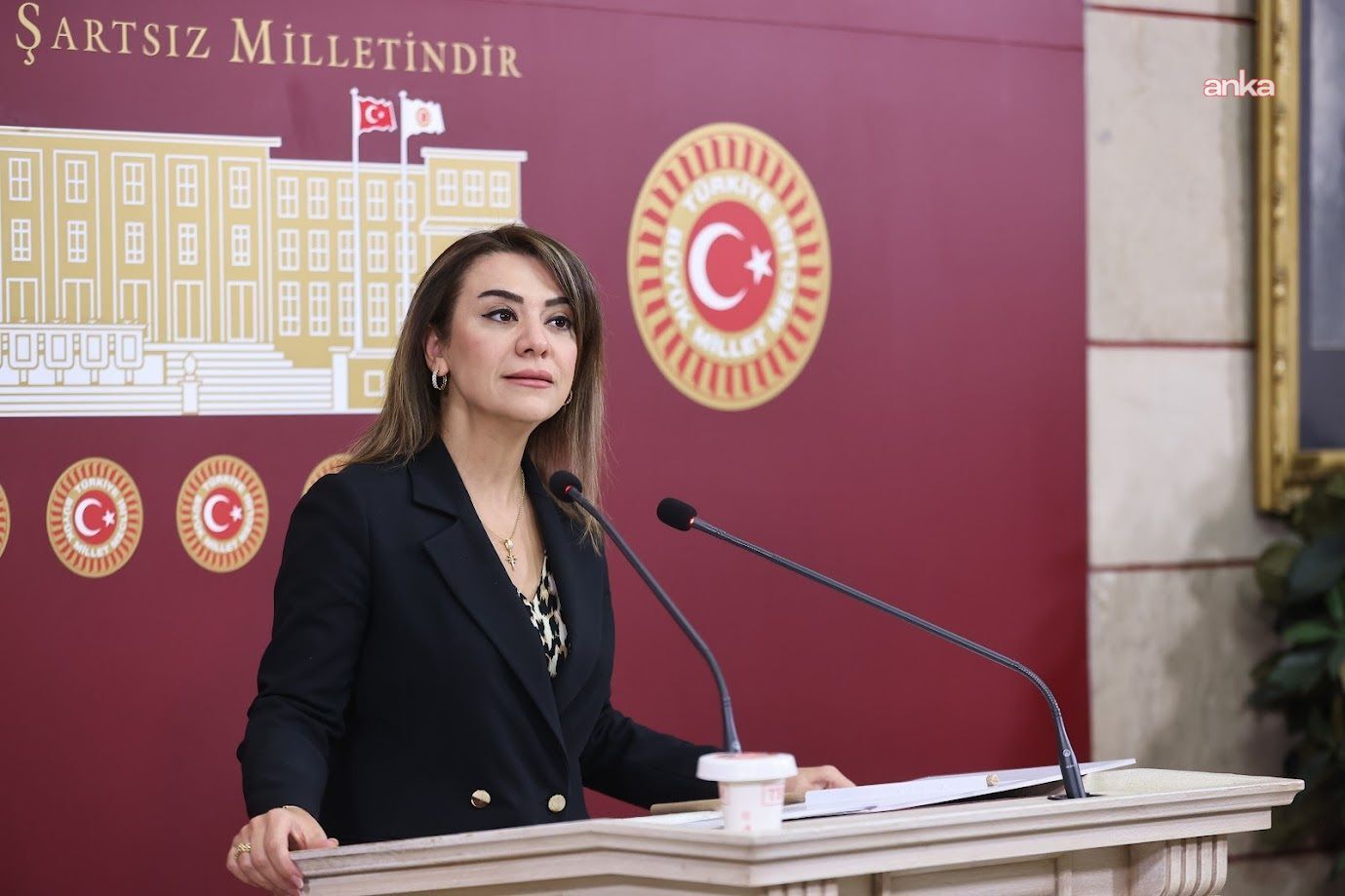 CHP’li Taşcıer’den Bakan Işıkhan’a Emekli Tepkisi