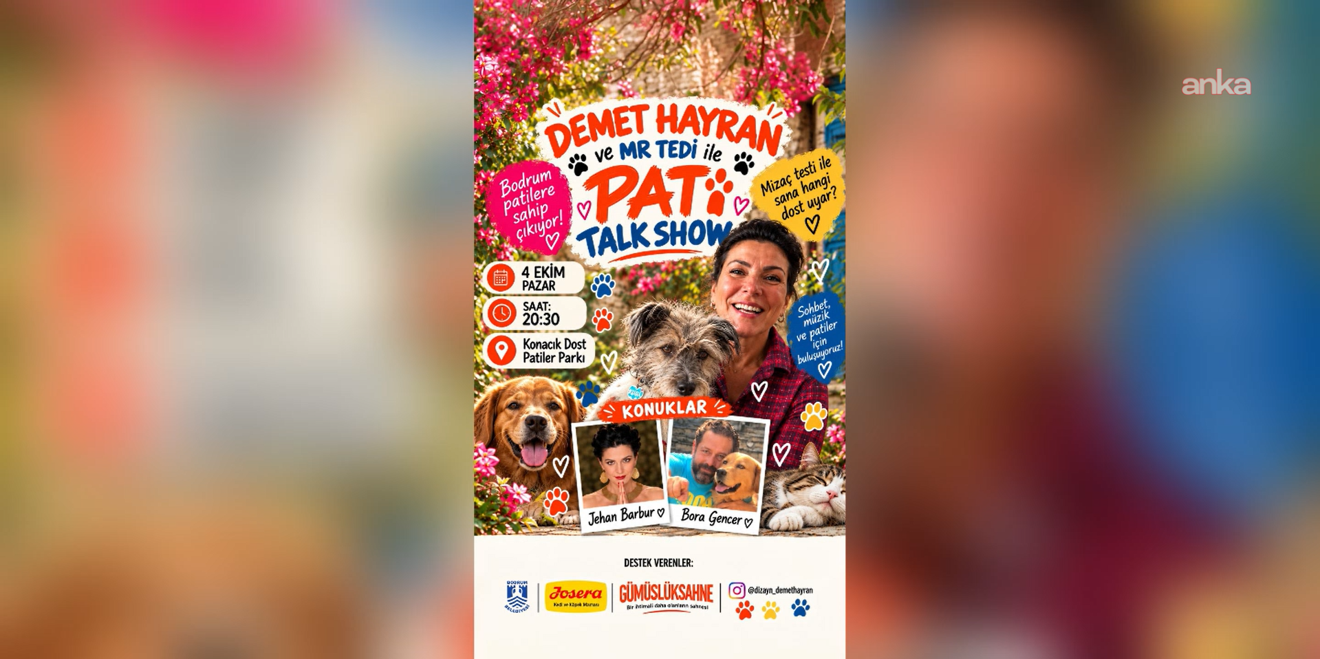 Bodrum'da 'Pati Talk Show' ile doğru sahiplendirme anlatılacak