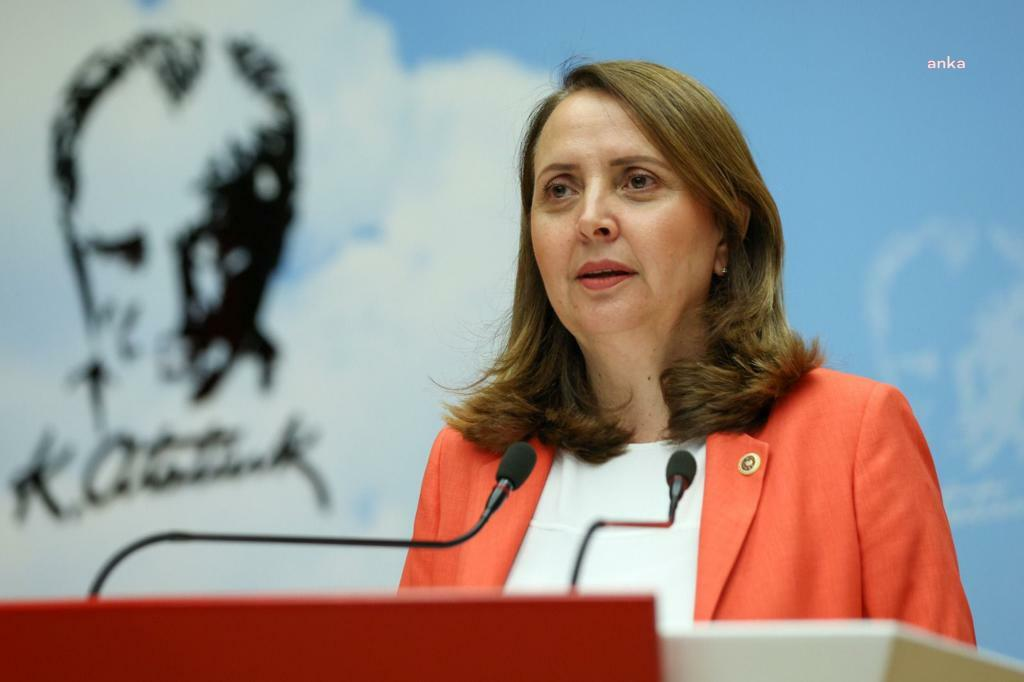 CHP'li Dinçer, CHP İngiltere Birliği'nin Londra'daki merkezinde üyelerle bir araya geldi