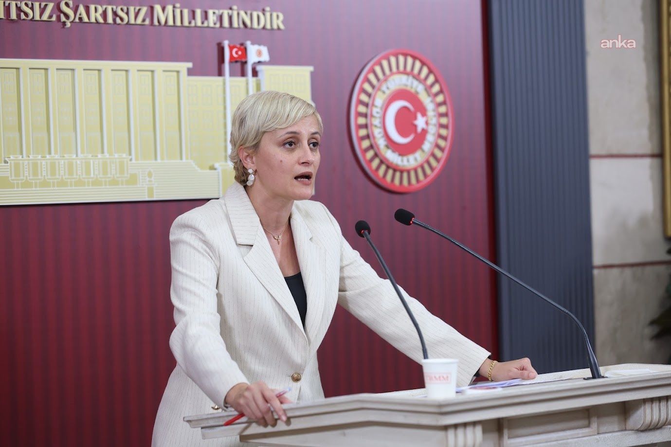DEM Partili Koca, ANKA'nın İskenderun Devlet Hastanesi haberini TBMM gündemine taşıdı