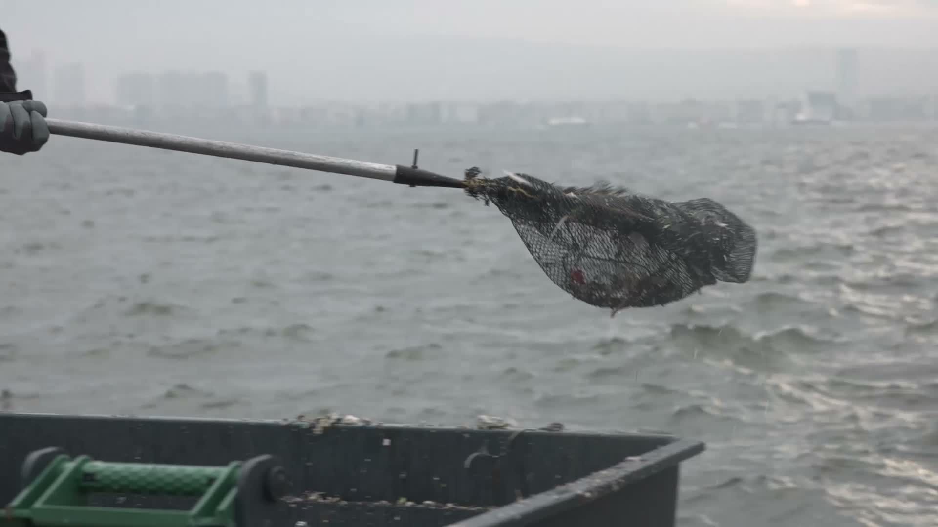 İzmir Körfezi'nden yılda ortalama 'bin 500 ton atık' çıkarılıyor